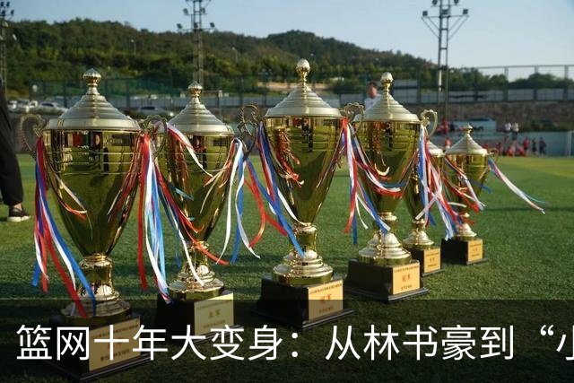 篮网十年大变身：从林书豪到“小波特”的篮球传奇